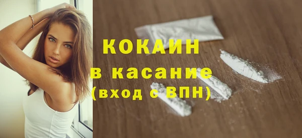 бошки Алексин