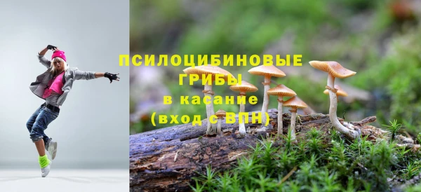 кокс Абаза