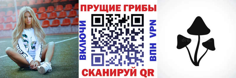 гидра ссылки  Заволжье  Псилоцибиновые грибы мицелий 