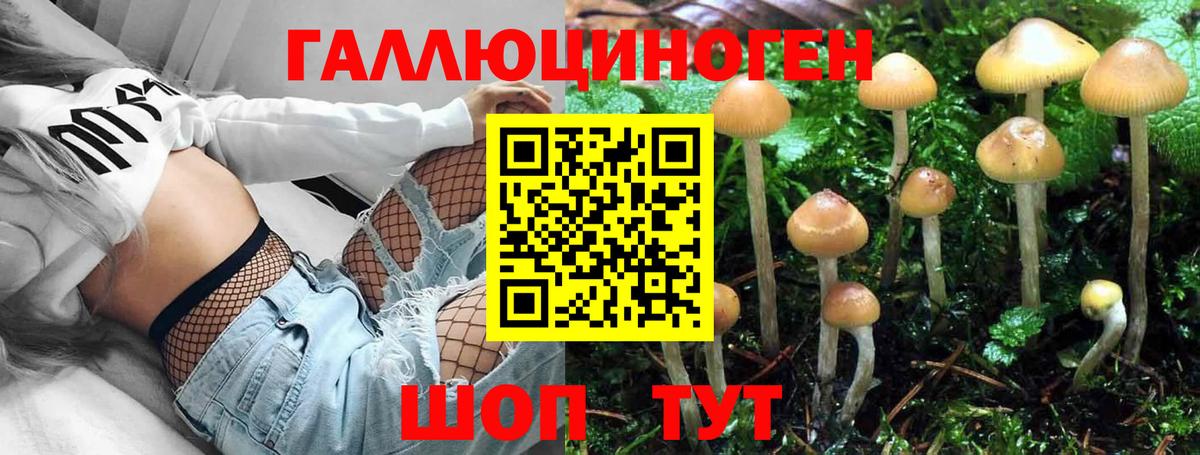 наркотики  Псилоцибиновые грибы GOLDEN TEACHER  Вход с VPN  Заволжье 
